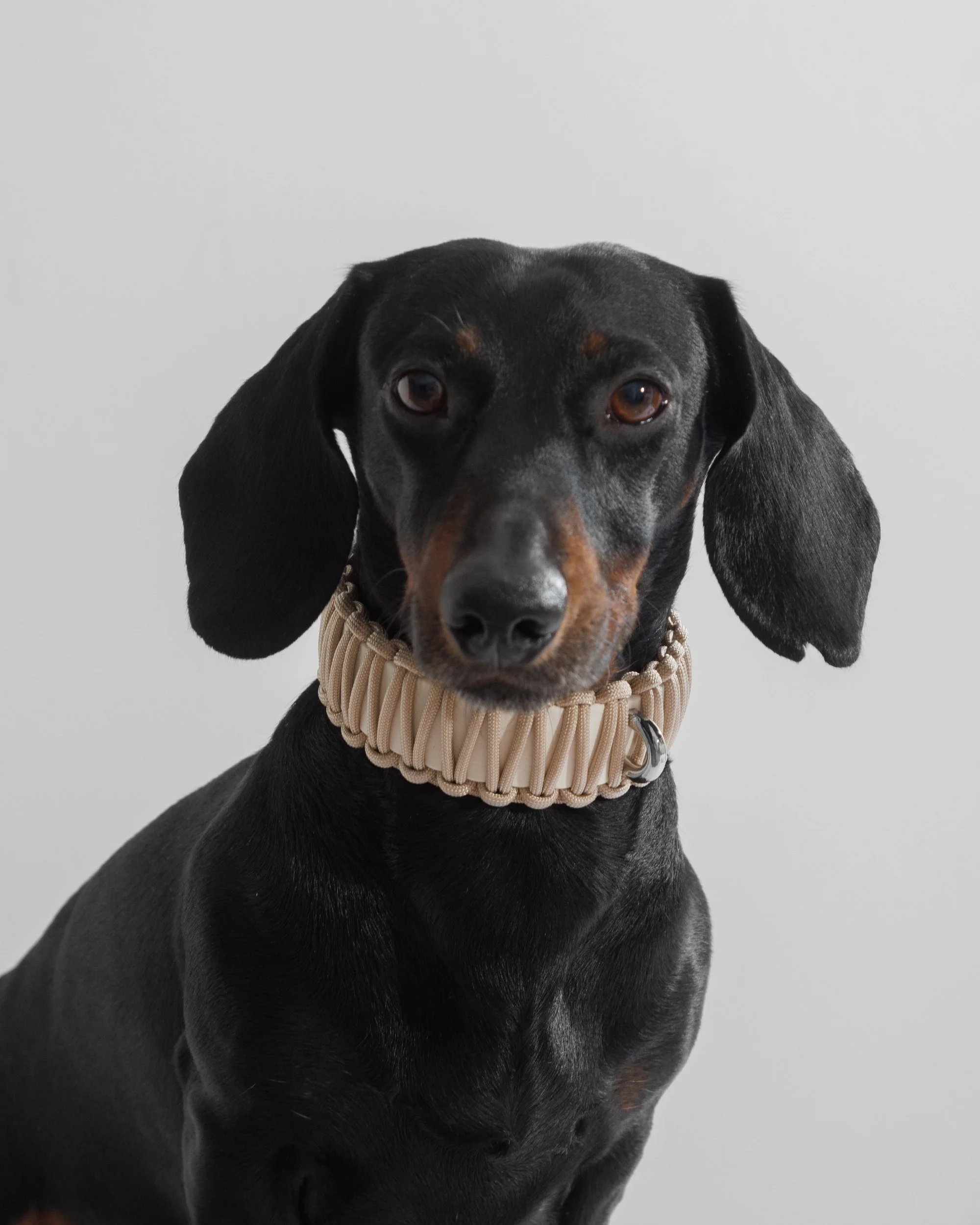 GALAN COLLAR in Baby Blue — VALKA KUKUR Modern sophsticated